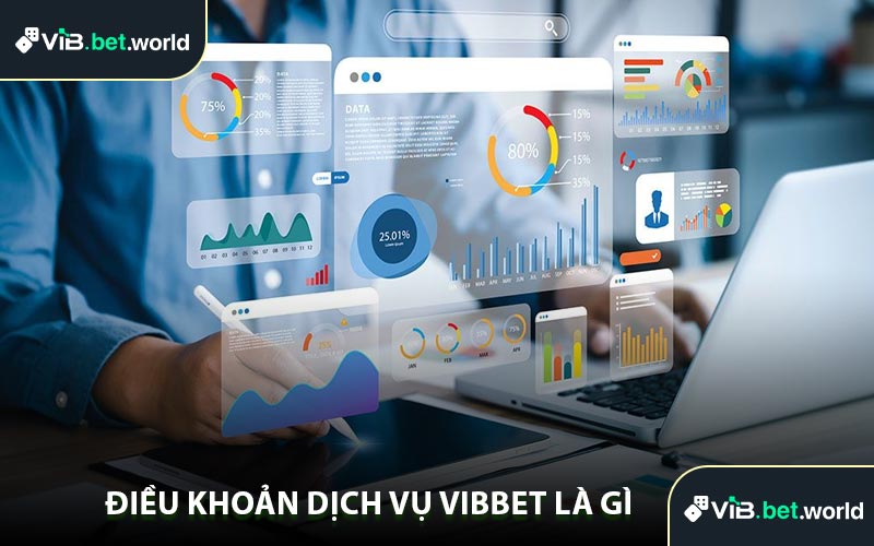 Điều Khoản Dịch Vụ Vibbet Là Gì