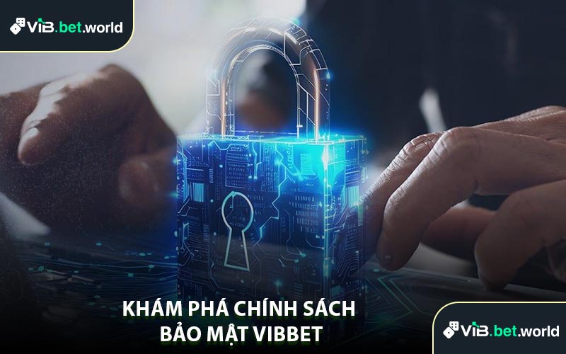 Khám Phá Chính Sách Bảo Mật Vibbet