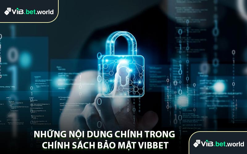 Những Nội Dung Chính Trong Chính Sách Bảo Mật Vibbet