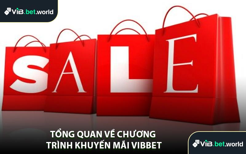 Tổng Quan Về Chương Trình Khuyến Mãi Vibbet