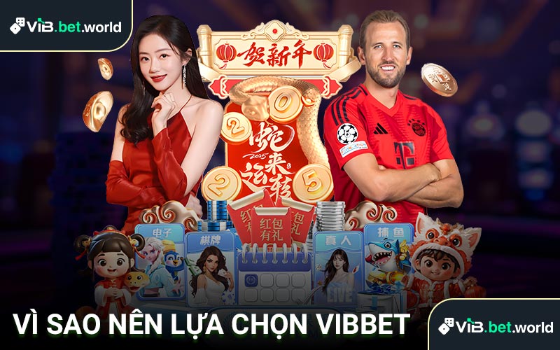 Vì sao nên chọn Vibbet?